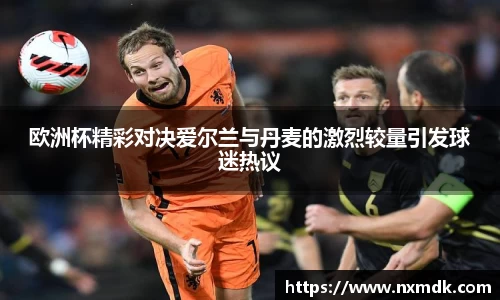 欧洲杯精彩对决爱尔兰与丹麦的激烈较量引发球迷热议